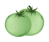 green tomatoes vegetable