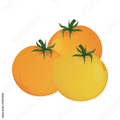 tomatoes vegetable icon