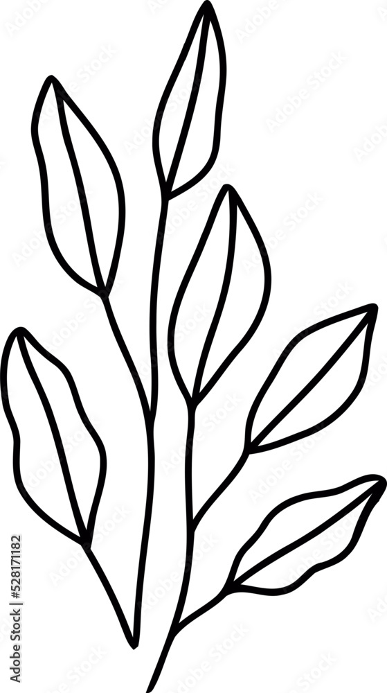 botanical wildflower line art botanical wildflower line art