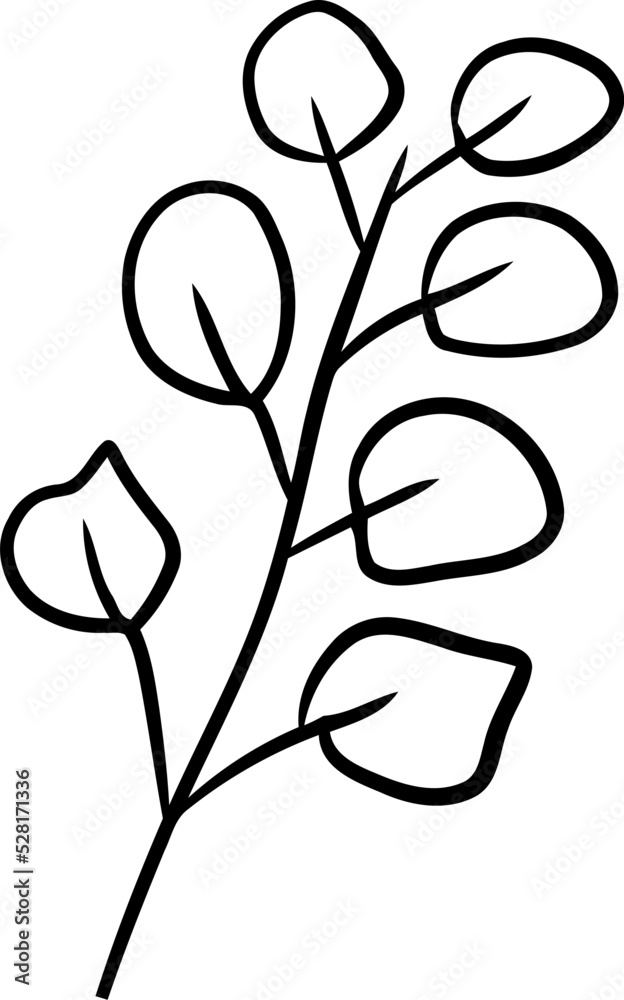 Fototapeta premium botanical wildflower line art