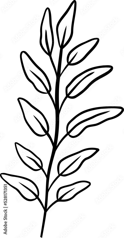 Naklejka premium botanical wildflower line art