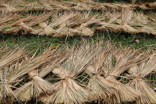 Texture of straw.Close up straw background. photo