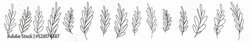 Horizontal pattern of branches with leaves, hand-drawn with a thin black line photo