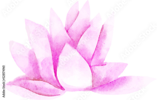 pink lotus flower, watercolor illustration, hand drawing, floral wedding