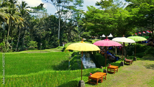 sch  ner Park mit bunten Sonnenschirmen   ber Reisfeld und hohen tropischen B  umen in Indonesien