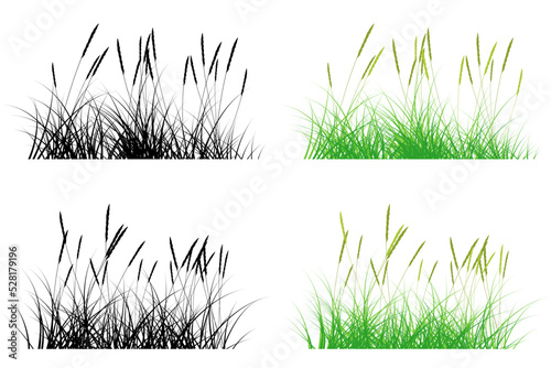 prairie grass. short grass
