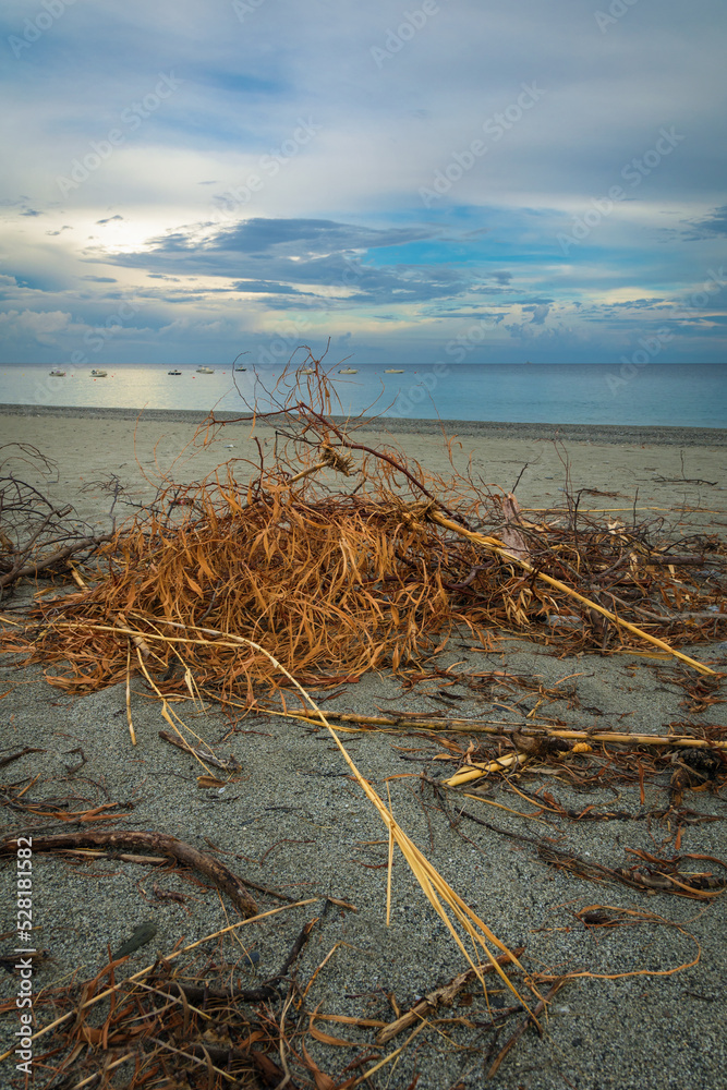 Spiaggia di Condofuri Stock Photo Adobe Stock