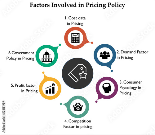 Factors involved in Pricing Policy with Icons in an infographic template. 