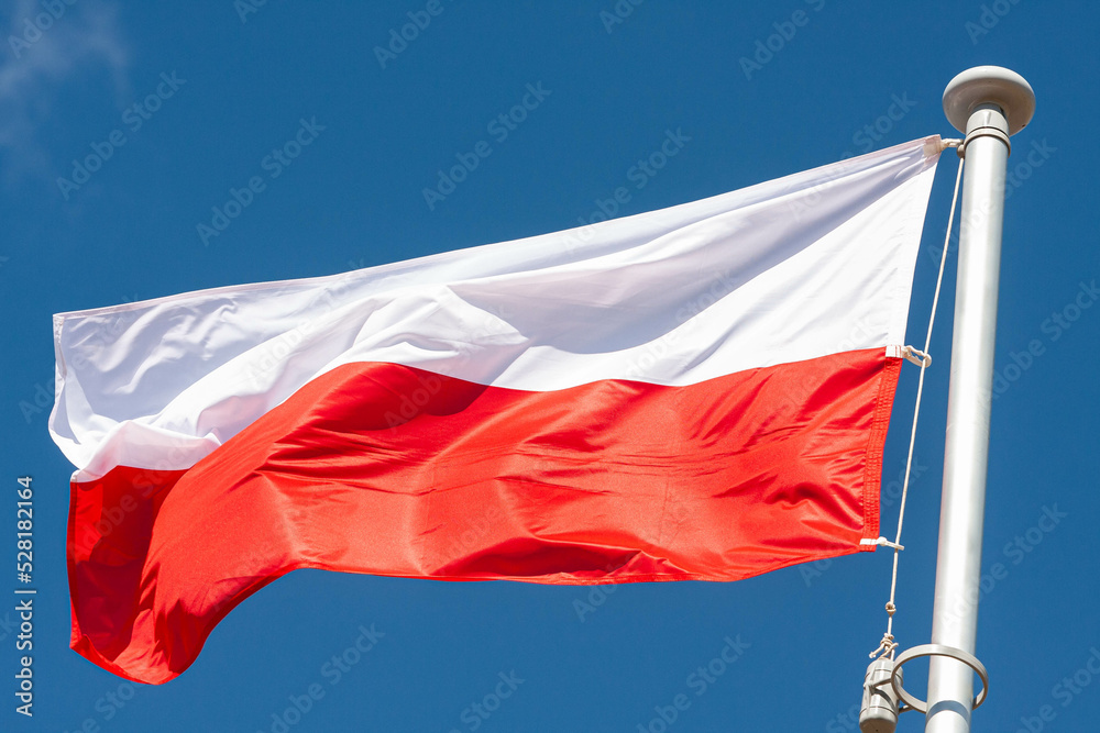 Flaga Polski  - obrazy, fototapety, plakaty 