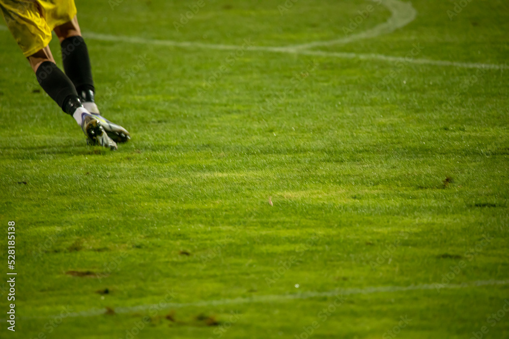 Obraz premium soccer player in action