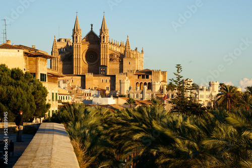 Catedral de Mallorca desde la terraza d' es Baluard (Museu d'art modern i contemporani de Palma).Palma.Mallorca.Islas baleares.España. photo