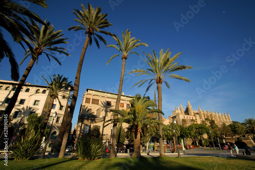 paseo Sagrera, Palma.Mallorca.Islas Baleares. España. © Tolo