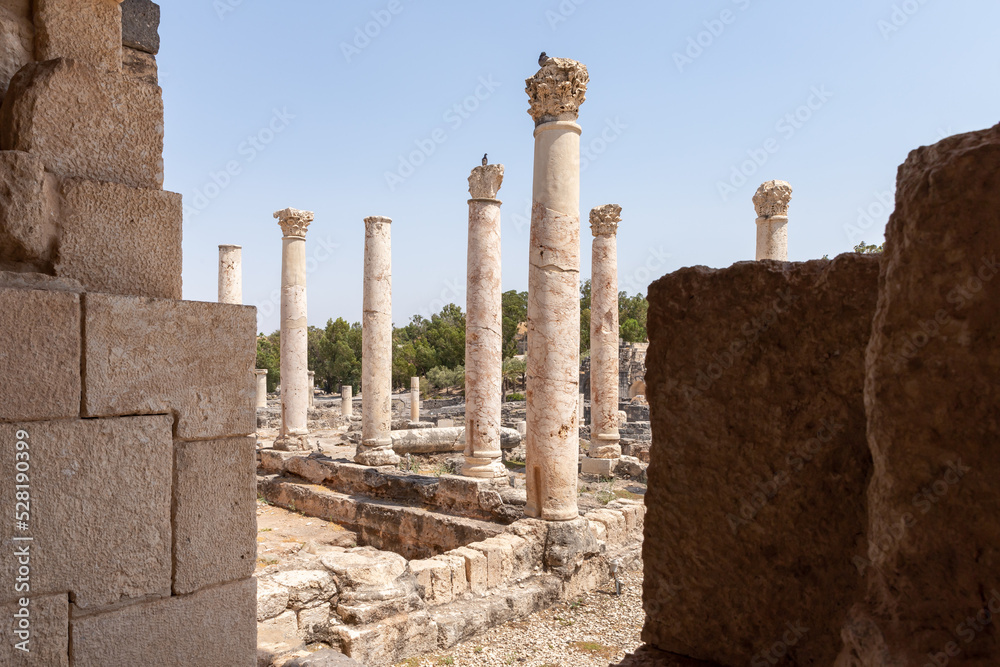 Partially restored ruins of one of the cities of the Decapolis - the ancient Hellenistic city of Scythopolis near Beit Shean city in northern Israel