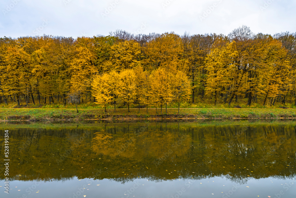 Autumn lake in yellow forest. Dry colofuul leaves fall on ground from trees. Autumnal landscape Autumn lake in yellow forest. Dry colofuul leaves fall on ground from trees. Autumnal landscape