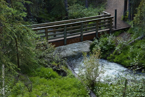Wooden footbridge over McIntyre Creek on Green Trail at Whitehorse,Yukon,Canada,North America 