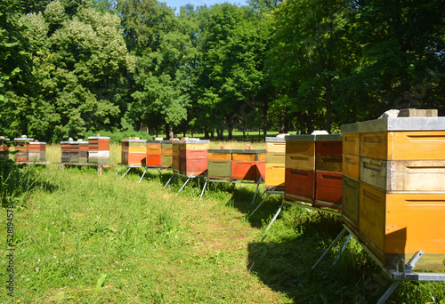 Bee houses in a park outdoor on the green © Sinuswelle