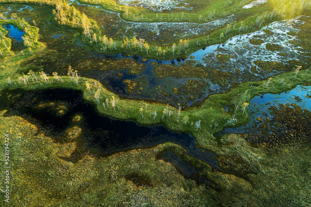 Obraz premium An aerial of summery aapa bog in Hossa region, Northern Finland