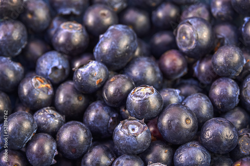 Selective focus  closeup of fresh blueberries  full frame