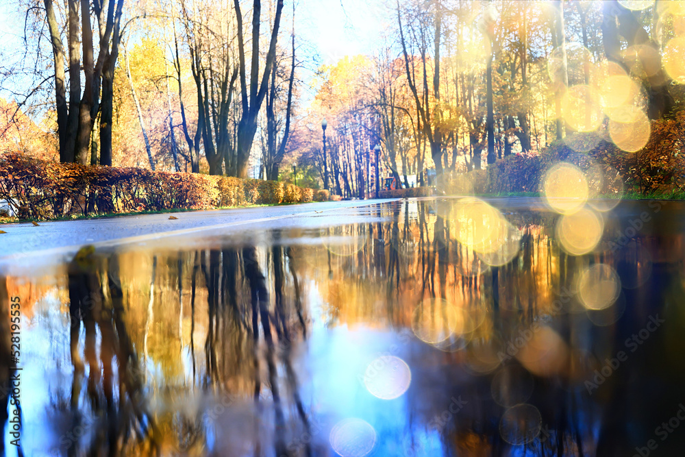 Obraz premium fall park view decoration, wallpaper autumn yellow season