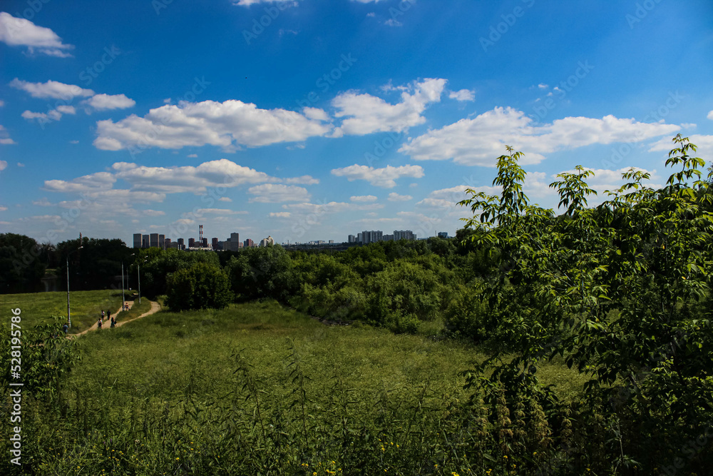 Beautiful landscape with green grass and trees overlooking the city