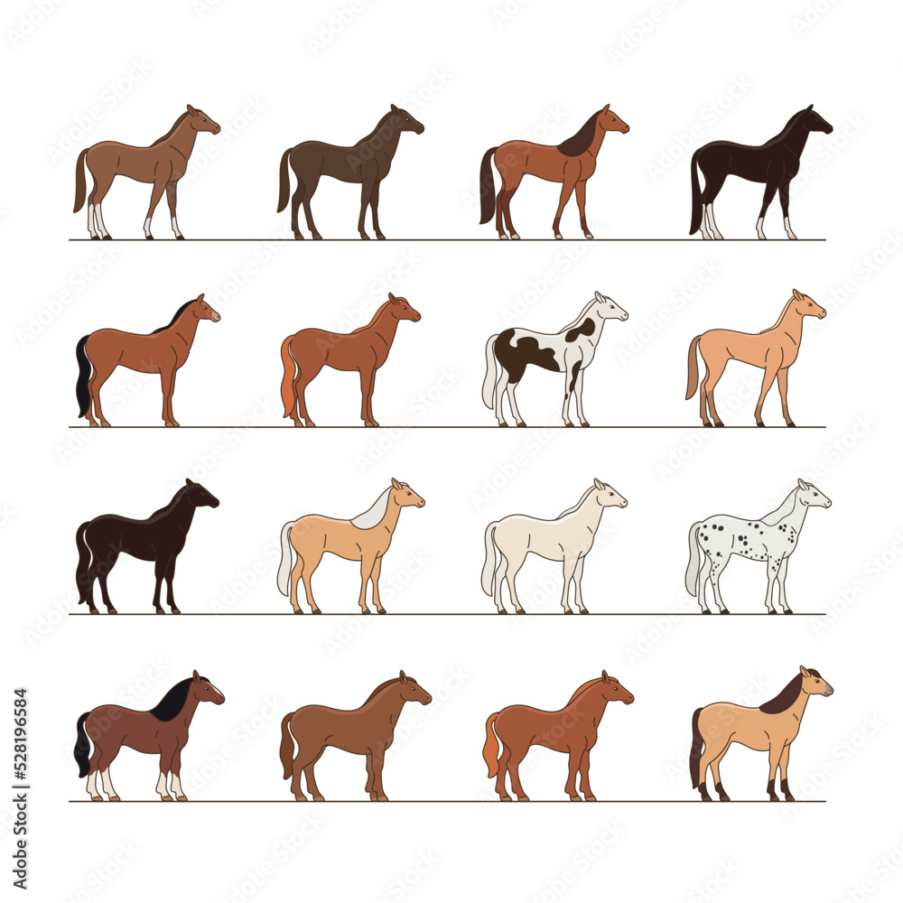 Obraz premium Cute horse. Detailed drawing of animal. Different bree of horse. Contour vector illustration for emblem, badge, insignia, postcard.