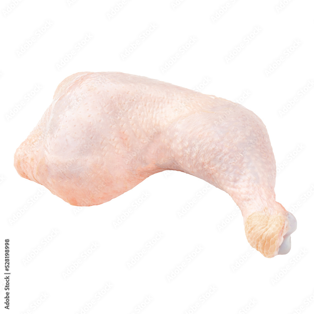 Fototapeta premium fresh raw chicken leg