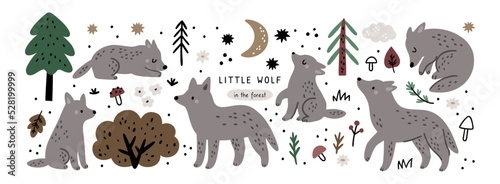 Fototapeta Naklejka Na Ścianę i Meble -  Cute cartoon wolves animals vector set. Wolf and cubs family in different pose. Scandinavian style illustration. Hand drawn autumn woodland animals, wolves, trees, mushrooms, flowers, leaves