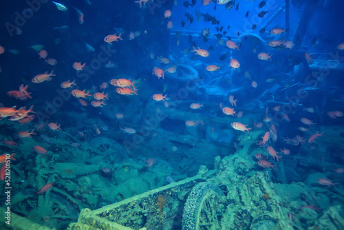 wreck diving thistelgorm  underwater adventure historical diving  treasure hunt