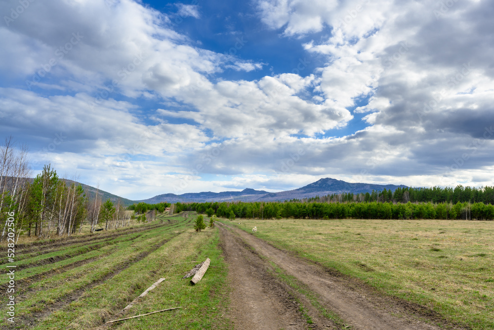 South Ural forest road with a unique landscape, vegetation and diversity of nature. South Ural forest road with a unique landscape, vegetation and diversity of nature.