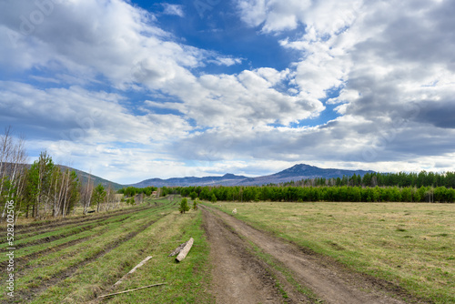 South Ural forest road with a unique landscape  vegetation and diversity of nature.
