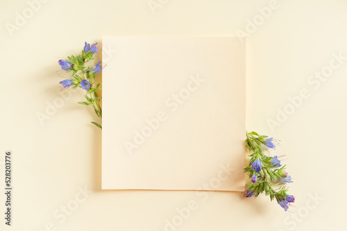 Beautiful flower arrangement. Bright purple flowers, free space for text on a light pastel background. Wedding, birthday. Valentine's day, mother's day. Top view, copy space