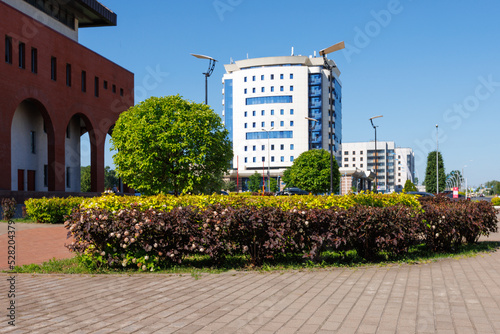 Modern urban landscape with well-groomed trees and bushes. The area is paved with paving slabs. Selective focus. © Yuriy Afonkin
