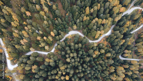 montagna bosco autunno drone  #528204776