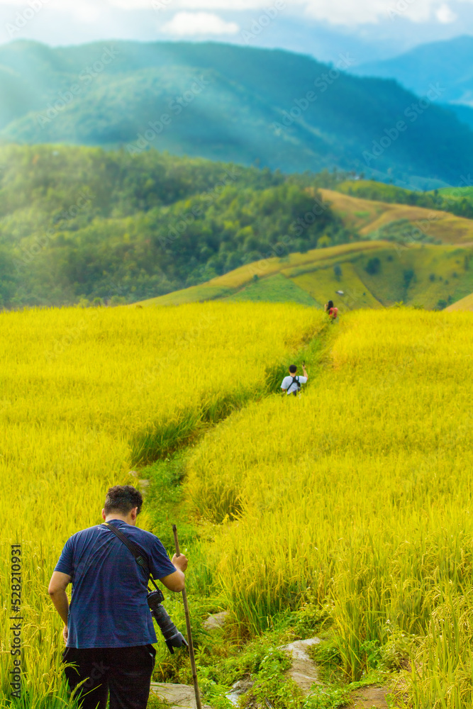people traveler walk on terraced rice fields at Chiang Mai, Thailand.