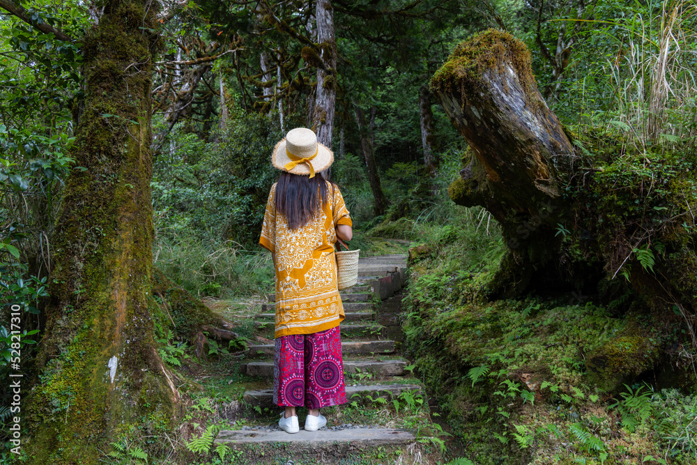 Travel woman walk in the forest in Taipingshan in Taiwan