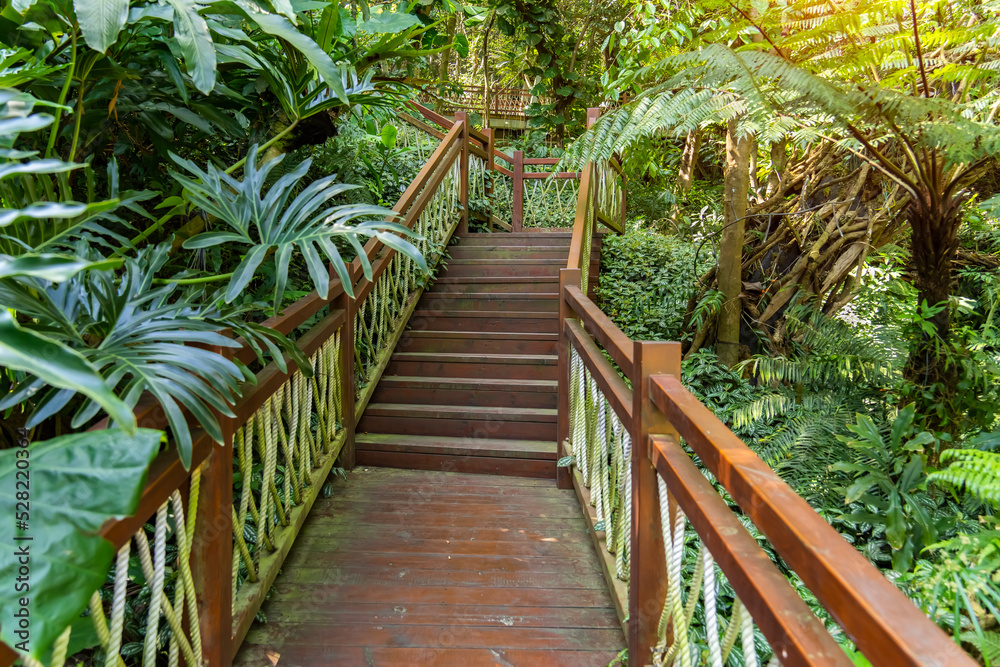Old wooden bridge with stairs in tropical rainforest park