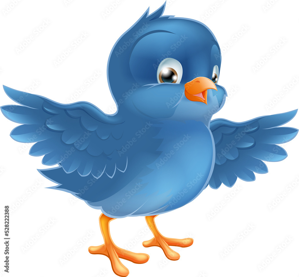 Happy bluebird Happy bluebird
