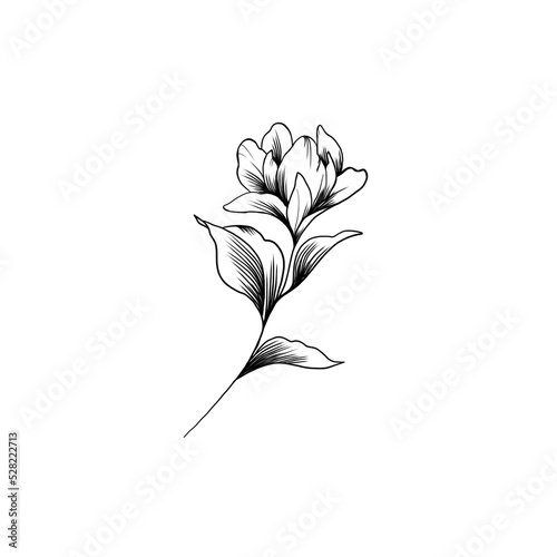 Hand drawn flower , line-art on white background. Idea for a tattoo sketch, p...