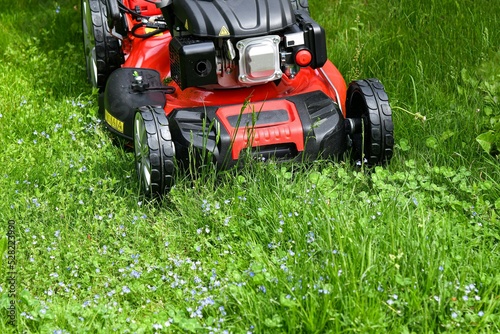 Home lawn mower on green lawn grass.
