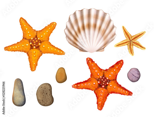 Digital clip art. Painted seashells, stones. For the design of various postcards, websites, etc.
