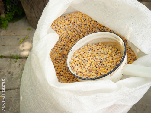 a bag of corn for chickens, corn grains in a bag, animal feed