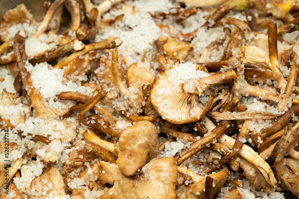 Northeast China Specialty Side Dish - Salted Mushrooms Northeast China Specialty Side Dish - Salted Mushrooms