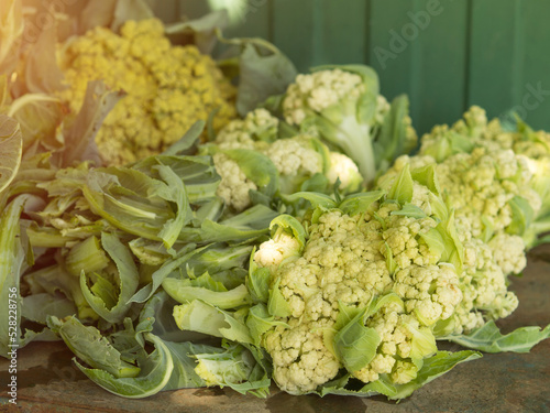 harvested cauliflower, growing organic vegetables