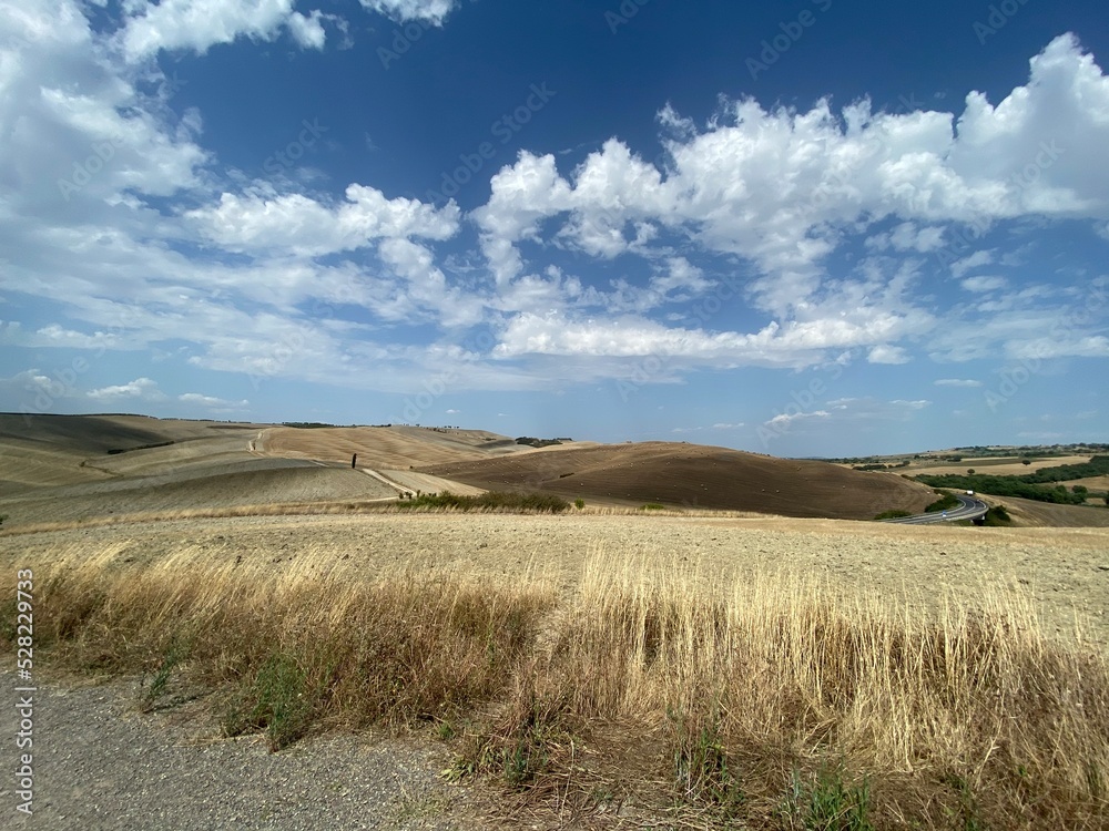 Tuscan landscape