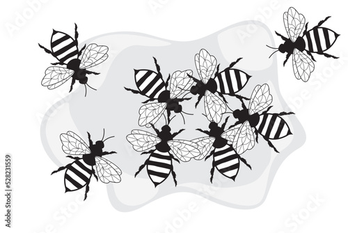 Set of bees. Bees hand drawn. Honey bee illustration vector 