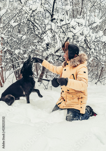 A black German shepherd and her master walk through the winter forest. A young man trains his dog