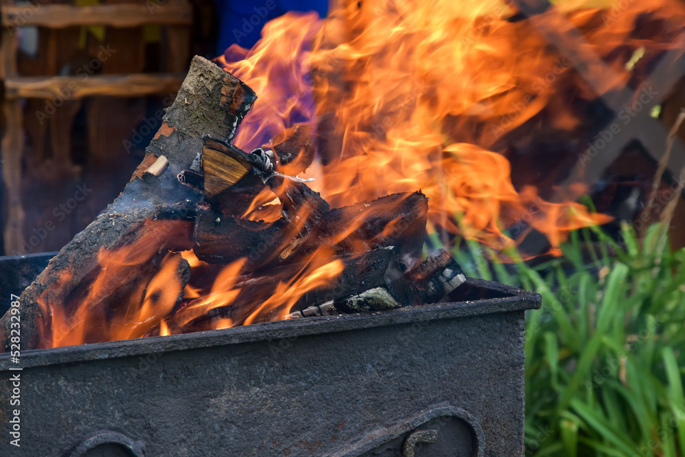 Obraz premium Firewood is burned for barbecue. Embers bright flame. Barbecue with burning firewood. Yellow, bright and warm flame. Open fire.