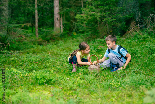 Girl and a boy in boots are sitting and putting mushrooms they found in the forest into a basket