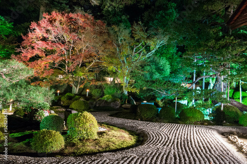 京都 夜の曼殊院門跡のライトアップされた枯山水の庭園