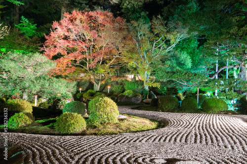 京都 夜の曼殊院門跡のライトアップされた枯山水の庭園